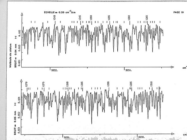 page019.jpg