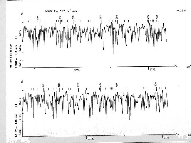 page005.jpg