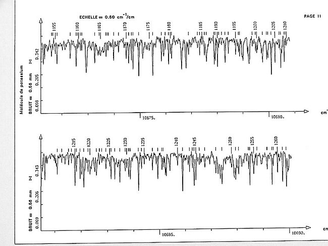 page011.jpg