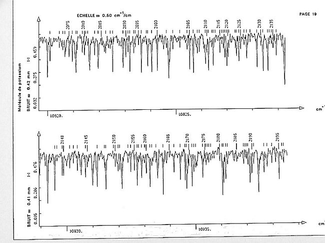 page019.jpg