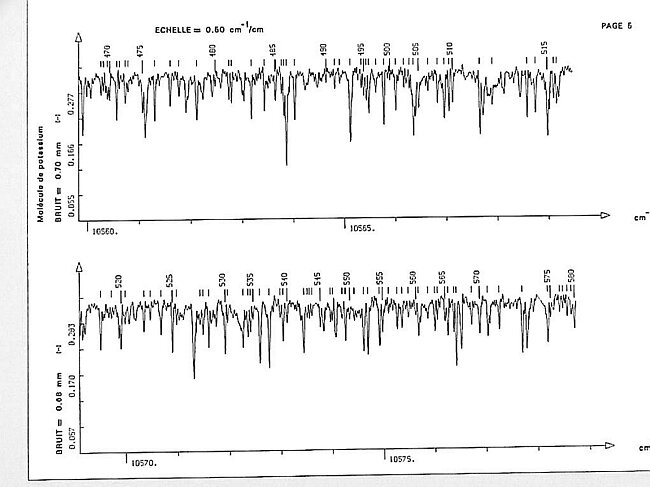 page005.jpg