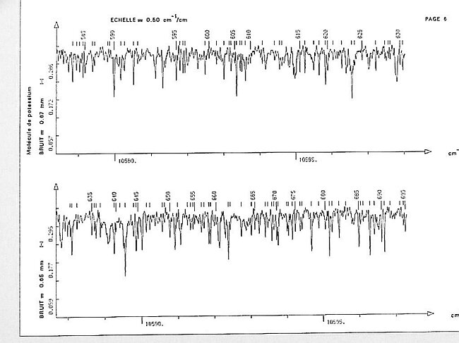 page006.jpg