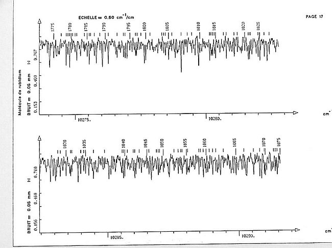 page017.jpg