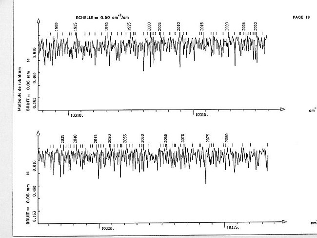 page019.jpg