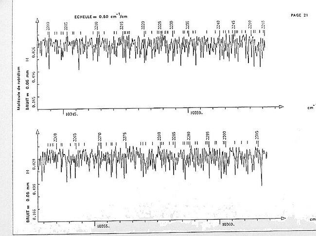 page021.jpg