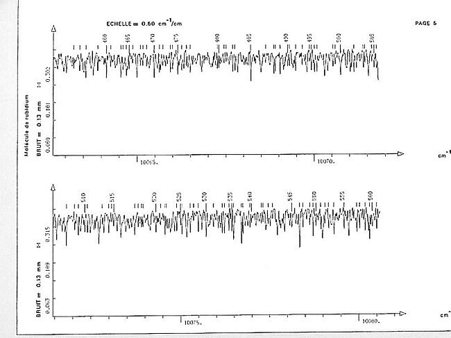 page005.jpg