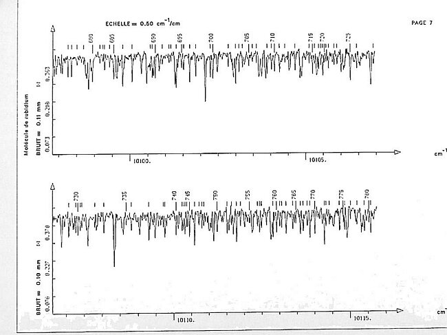 page007.jpg