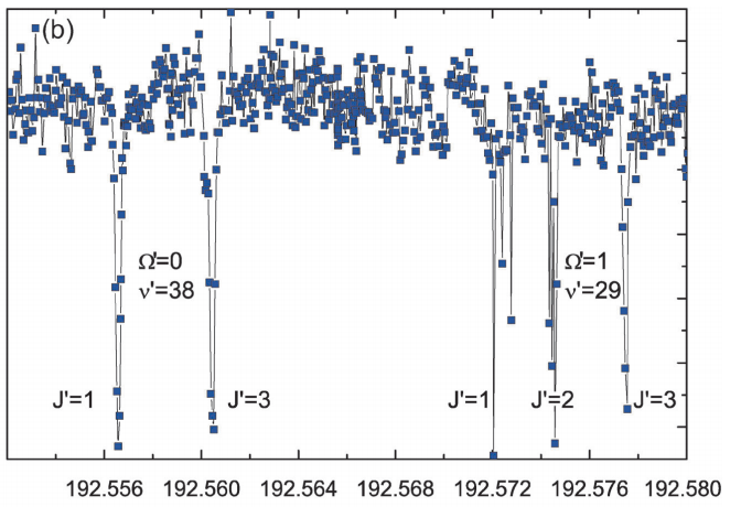 Formation, refroidissement et spectroscopie de molécules neutres et ionisées